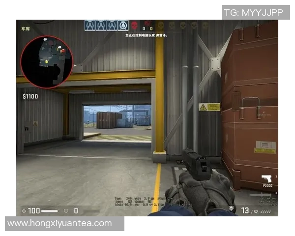 CSGO战术解析：深入了解WE战队的灵活应变能力与战术布局