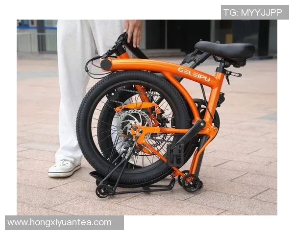 骑行新时代：探索自行车在现代城市中的多重功能与发展趋势