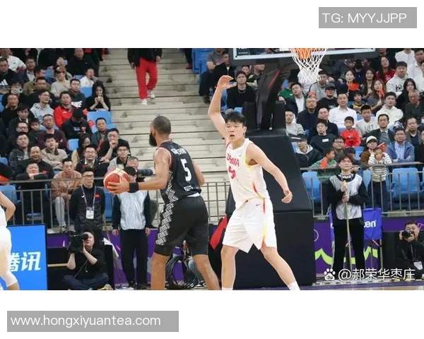 湖人对决开拓者NBA精彩在线直播全程回顾与赛后分析